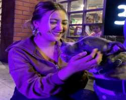The actress is an animal lover and it seems that animal also loves her company.